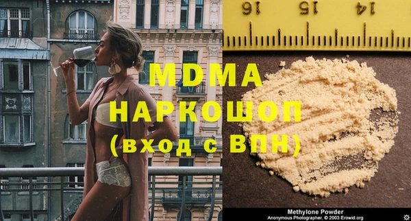 индика Новозыбков