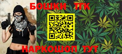 гашик Бийск