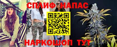 гашик Бийск