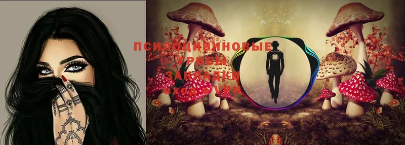 Псилоцибиновые грибы Magic Shrooms  ОМГ ОМГ   Ишим 