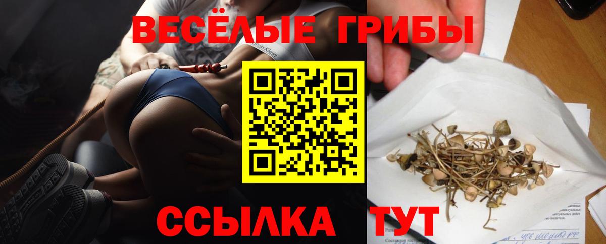 Ишим  Псилоцибиновые грибы Cubensis  Псилоцибиновые грибы Cubensis  Вход с VPN 