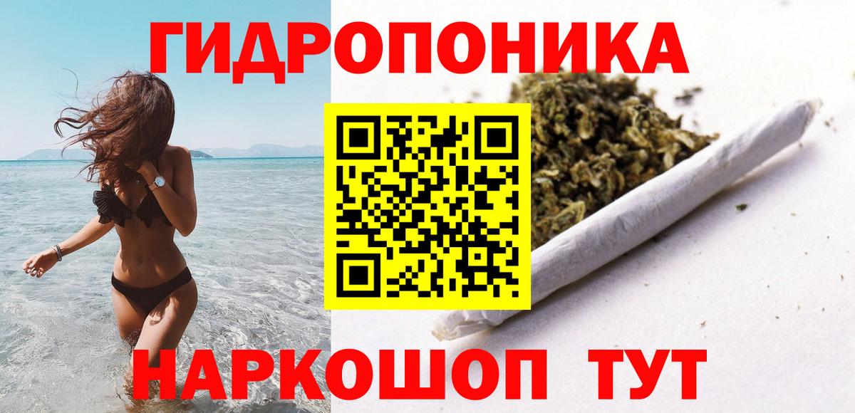 Бошки марихуана сатива  Марихуана OG Kush  Бошки Шишки планчик  Ишим  Каннабис OG Kush 
